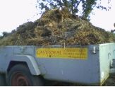 20070918_nyeroebed.jpg