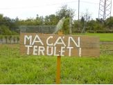 20070919_macan.jpg