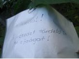 20071102_vandal.jpg