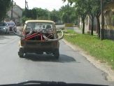 20071106_kispok.jpg