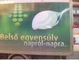 20080101_elek.jpg