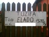 20080110_togyfa.jpg