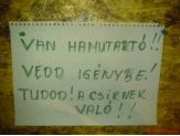 20080112_hamutarto.jpg