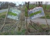 20080304_vagobirka.jpg