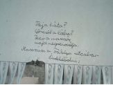 20080429_fecoamasszor.jpg