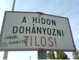 20080507_fuvezze.jpg