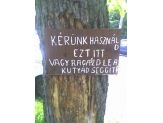 20080513_ragaszdle.jpg