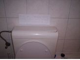 20080518_8eves.jpg