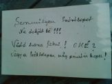 20080616_futeni.jpg