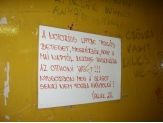 20080625_notorikus.jpg