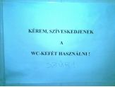 20080629_szur.jpg