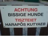 20080709_kutyaeb.jpg