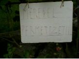 20080713_mereggel.jpg