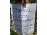 20080718_permetezve.jpg