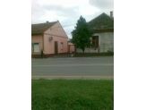 20080719_pisi.jpg