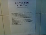 20080812_taho.jpg