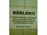 20080814_dezsoe.jpg