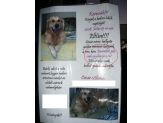 20080816_csak1here.jpg