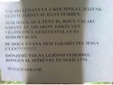 20080903_vederrel.jpg