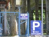 20081028_nematied.jpg