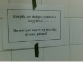 20081112_pisatse.jpg