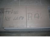 20081231_friss.jpg