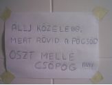 20090106_csopog.jpg