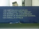 20090115_szentjanosbogar.jpg