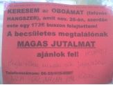 20090205_oboa.jpg
