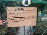20090206_feleseget.jpg