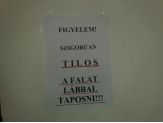 20090213_falatlabbal.jpg