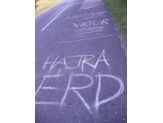 20090302_hajraerd.jpg