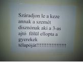 20090308_telapo.jpg