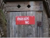 20090411_fingos.jpg