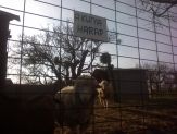 20090422_harap.jpg