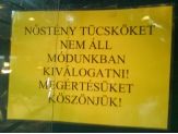 20090424_tucskok.jpg
