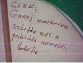 20090511_postalada.jpg