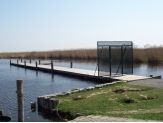 20090517_steg.jpg