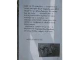 20090807_foltos.jpg