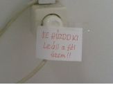 20090830_nehuzdki.jpg