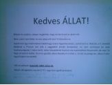 20090908_allat.jpg