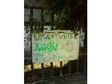 20090916_nyulatvetel.jpg