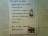20090918_nagytestver.jpg