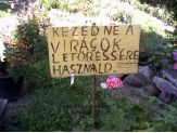 20090926_viragok.jpg