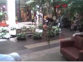 20090930_pancsolas.jpg