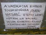 20091102_vadkacsa.jpg