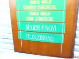 20100523_negerfagyi.jpg