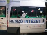 20120710_nemzo.jpg