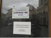 20130618_lofaszse.jpg