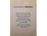 20131018_maugli.jpg